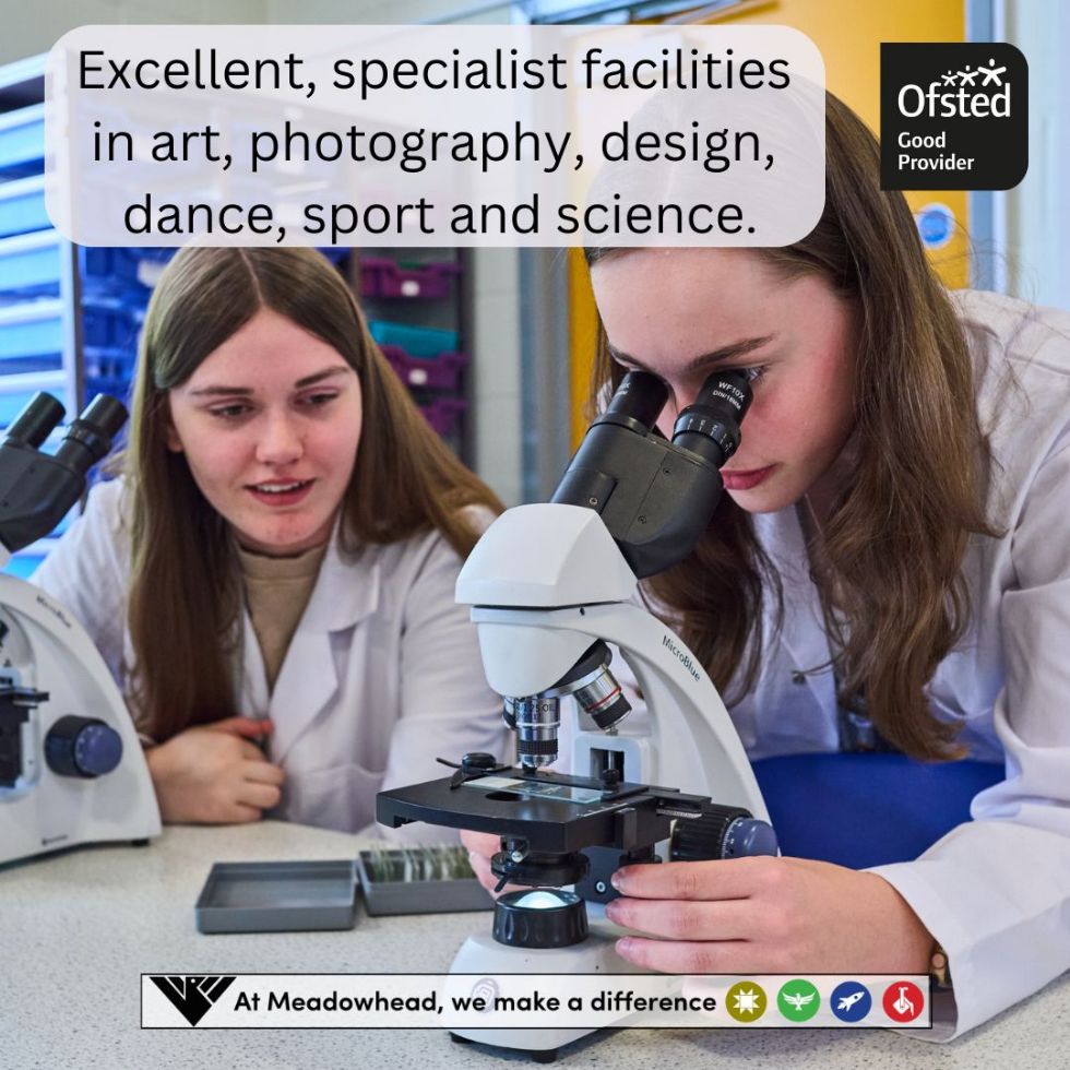 students using a microscope